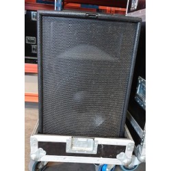 WT2  ENCEINTE MARTIN AUDIO 