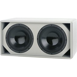 AQ2 10 SUB 2X 10 600W AES MARTIN AUDIO