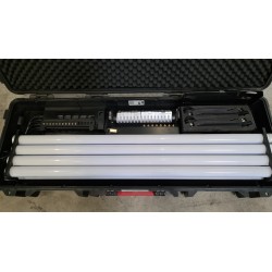 LOT 305 : AX1/8 ASTERA