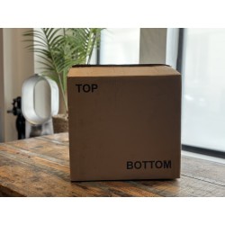 PHAMTOM II CUSTOM ENCEINTE DEVIALET 