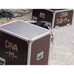 SISTEMA AMADEUS COMPLETO DIVA